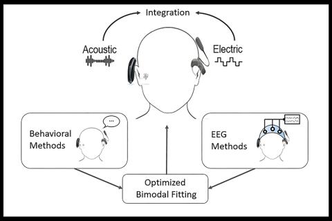 Diagram of bimodal research.