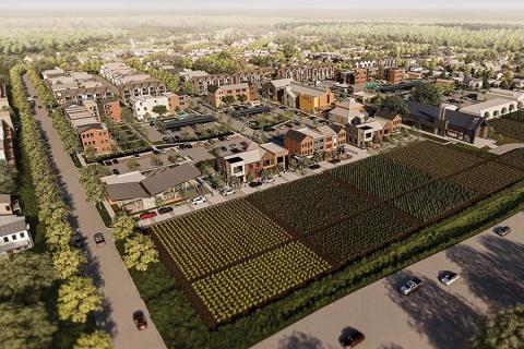Rendering of an "agrihood," a neighborhood focused on agricultural 