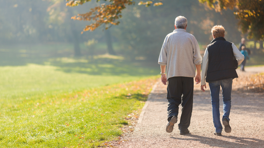 Seniors Walking in the Park